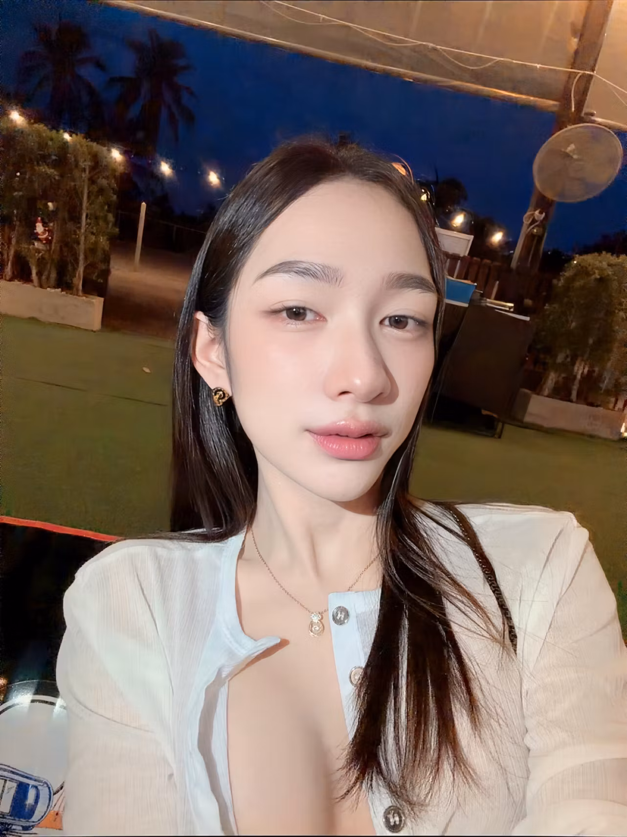 Palm2541 (27)