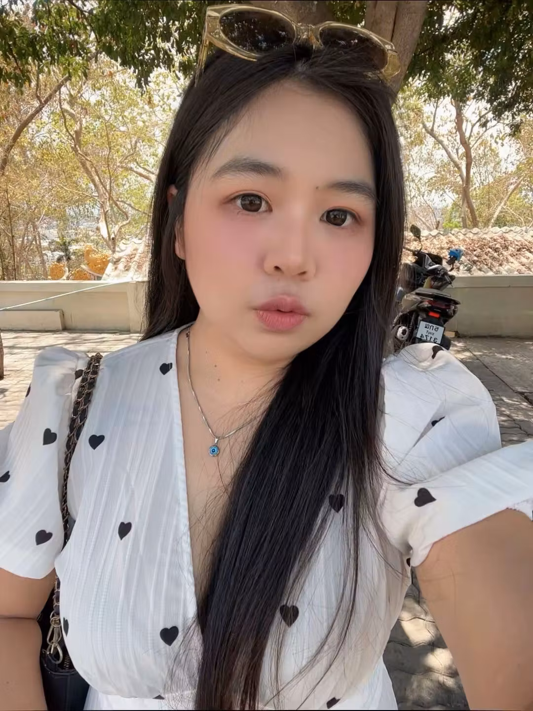 Baifern560 (25)