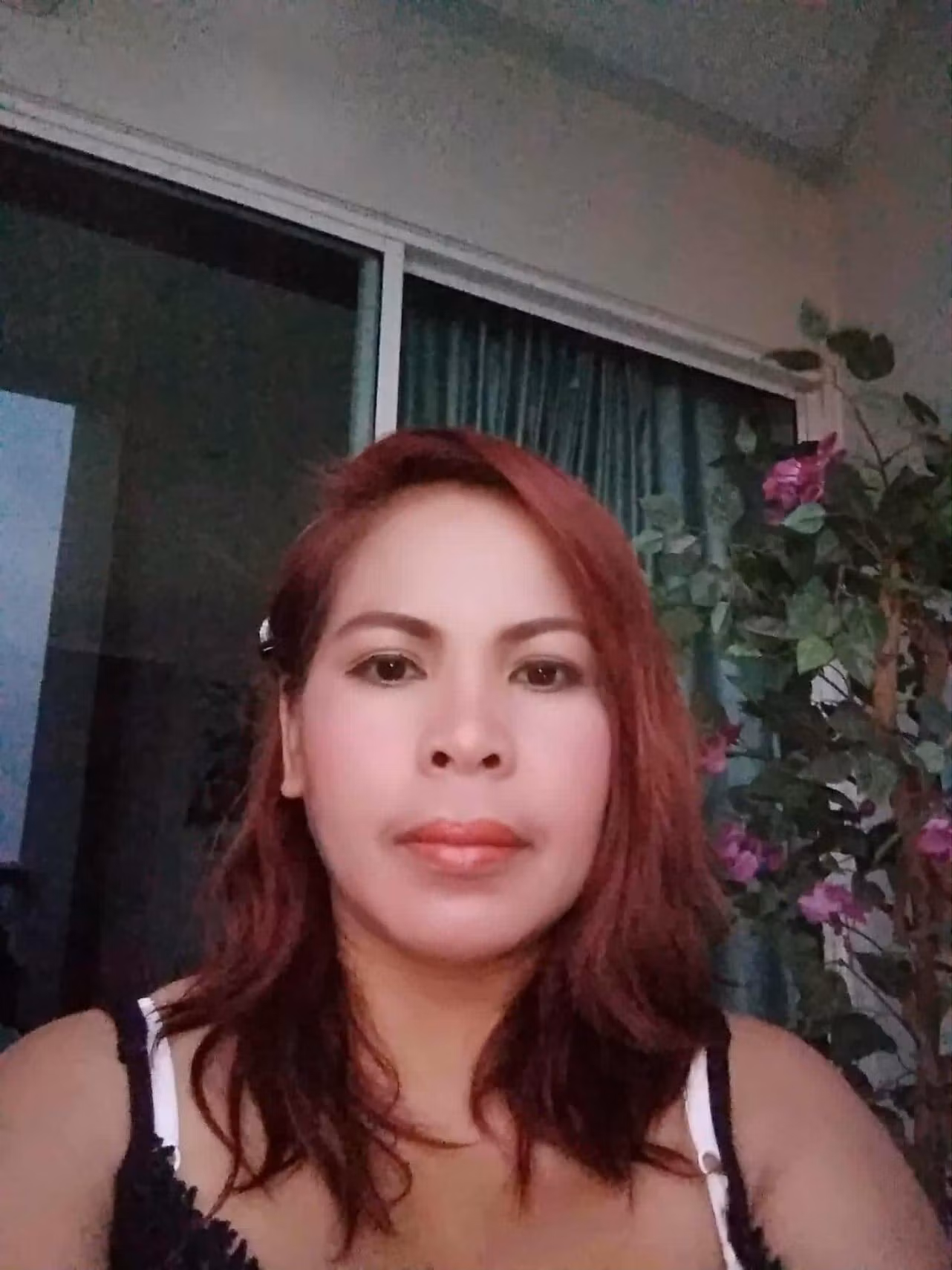 Pansa66 (49)
