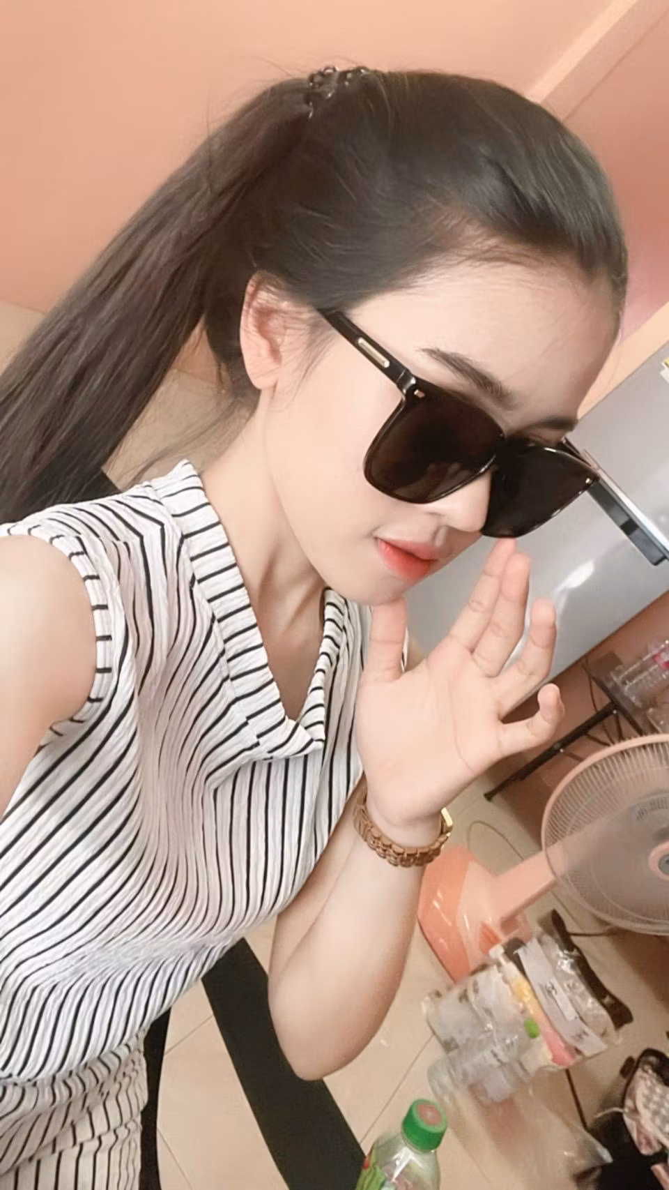 Pangsumita (19)