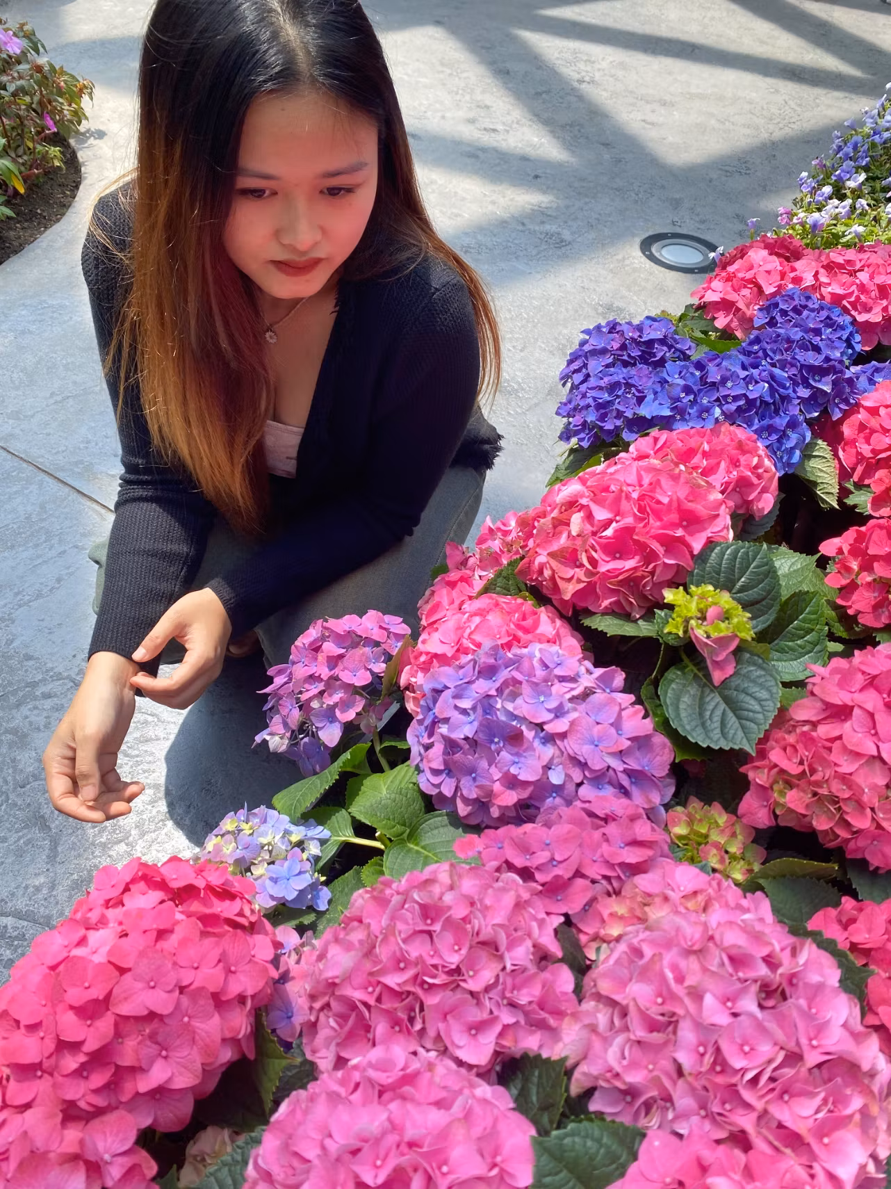 Noey6644 (25)